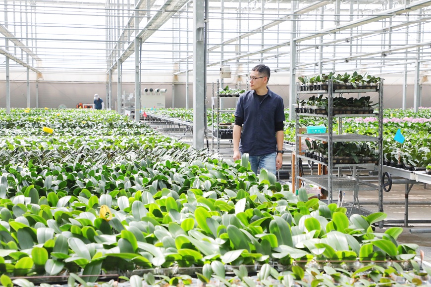 南市打造新「蘭」海 從自家陽台到千坪廠房 蘭花生技園區助蘭農二代壯大規模