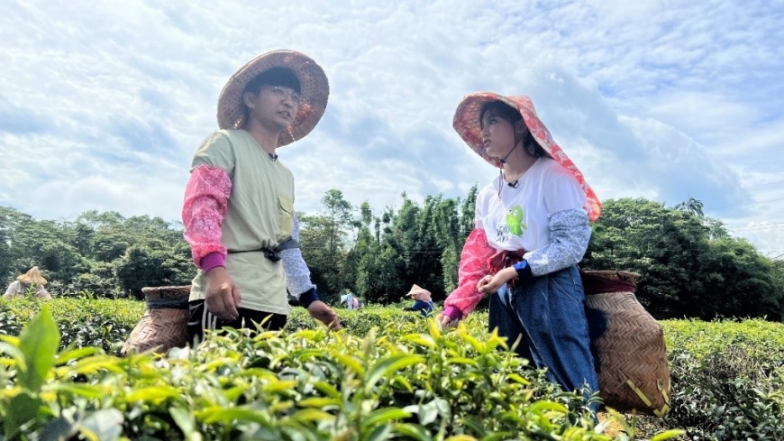 圖說:《趣桃Chill嗨嗨》直擊龍潭百萬好茶的生產基地,實際體驗製茶過程