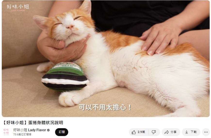 好味小姐先前曾發過愛貓蛋捲身體狀態的說明。（圖／翻攝自好味小姐 Lady Flavor YouTube頻道）