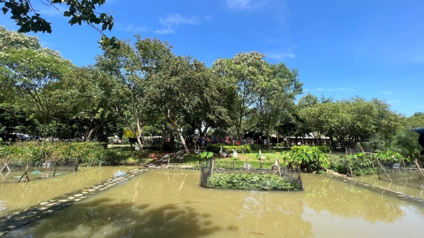 圖/豐富的生態讓八德埤塘生態公園成為孩子們熱愛的環境教育場域