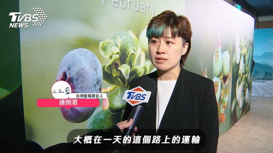 山丘藍台灣藍莓發言人 連婉君