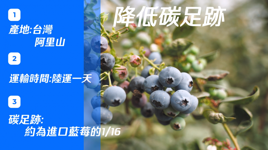 相較於進口藍莓,不只品質更新鮮,台灣藍莓的碳足跡只有其16分之1