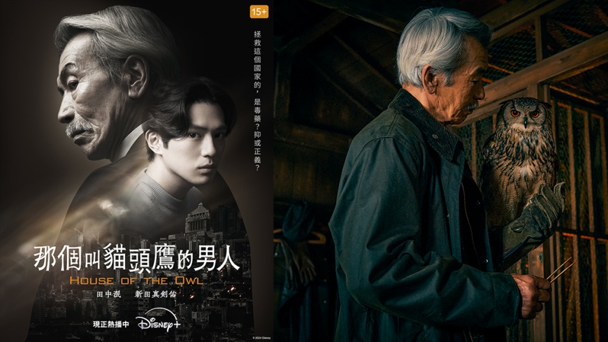 Disney+首部政治驚悚日劇:新田真劍佑主演《那個叫貓頭鷹的男人》全新上線!影評:根本日版『紙牌屋』