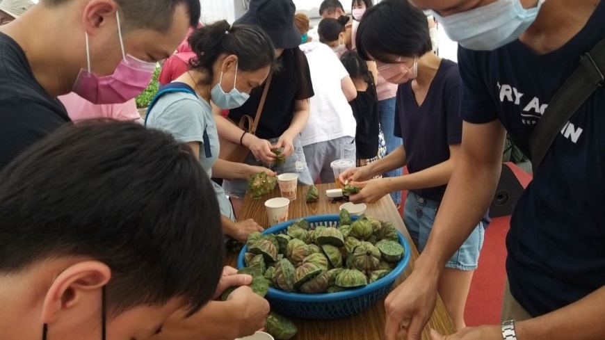 7月13日也會舉辦「金山之美 留蓮忘返」的活動,民眾可以來參加剝蓮子比賽(圖片來源:新北市政府農業局)