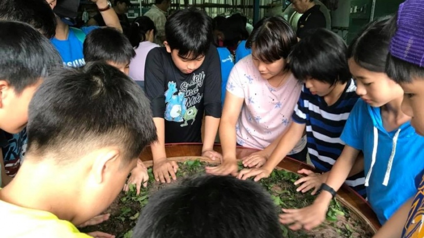 喝茶也能好菌多 新北青農李若嘉推出益生菌茶包