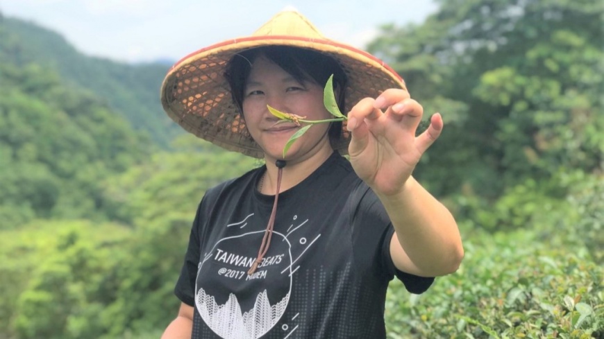 青農李若嘉經營世芳有機茗茶園（圖片來源：新北市政府）