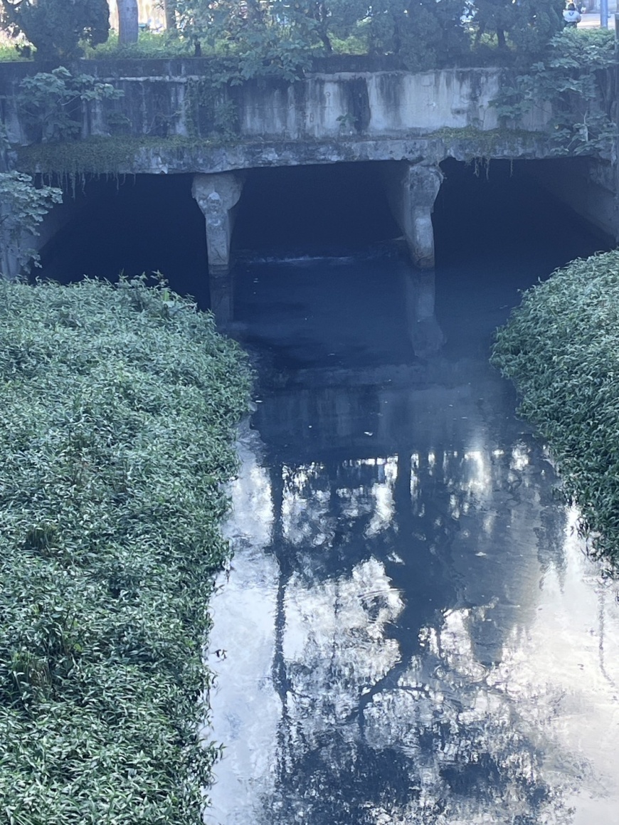 強化蘆洲水湳大排周邊工廠的整治力道、提升流域環境及生活品質