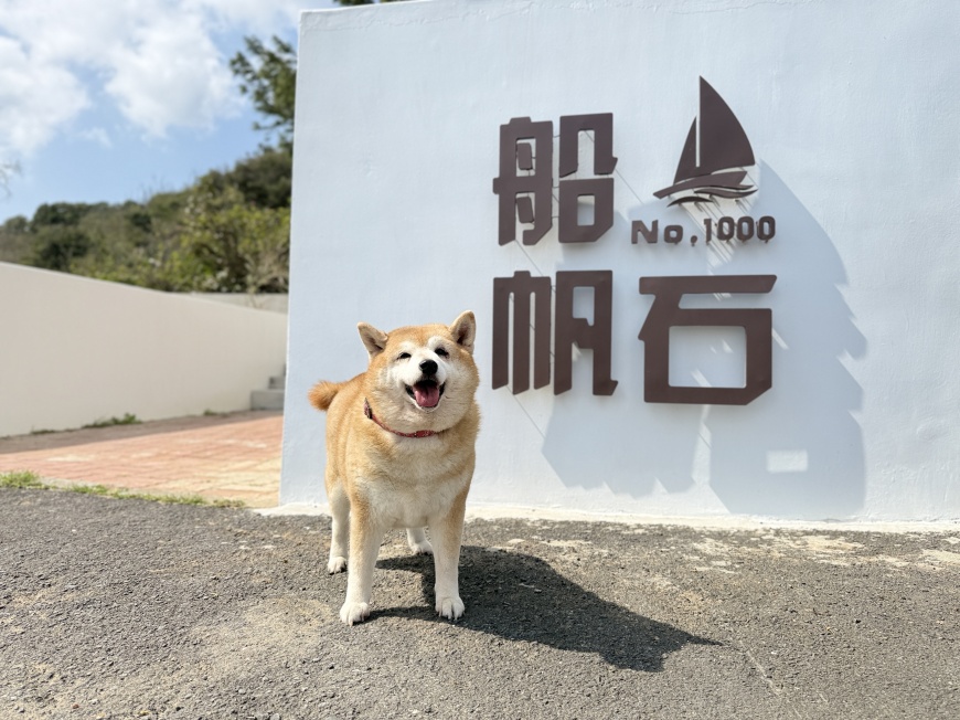 「船帆石No.1000」亦是寵物友善餐廳。