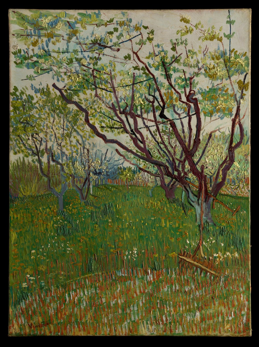 文森梵谷_花朵盛開的果園_1888 © The Metropolitan Museum of Art_Vincent Van Gogh_The Flowering Orchard(圖片/時藝多媒體提供)