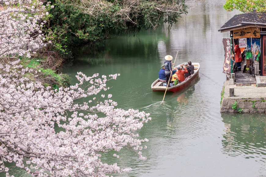 ▲柳川沿岸遍植櫻花,春季參加「Yoka Bus」的遊河行程,猛拍美照美不勝收。(圖片來源:福岡県観光連盟)