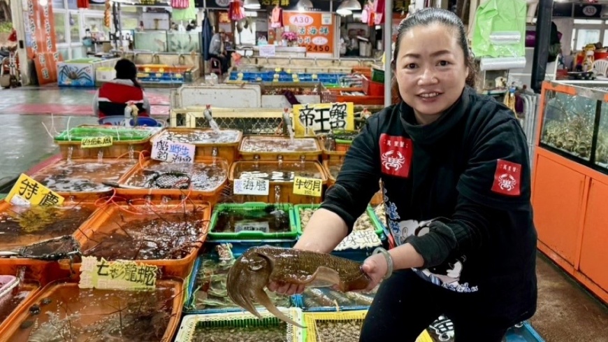 新北市石門富基漁港的「富基魚市」，魚市內的生鮮攤就有販售活力十足的花枝，讓民眾可以近距離觀察並選購新鮮魚產。(圖片來源：新北市政府漁業及漁港事業管理處)