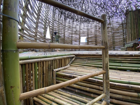 花蓮縣府盤點竹林資源，推動竹材產業永續發展。（圖／中央社）
