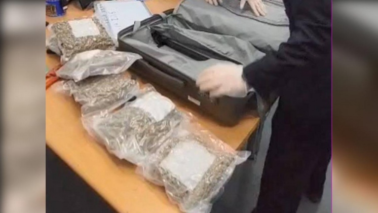機場查獲走私大麻花。（圖／TVBS）
