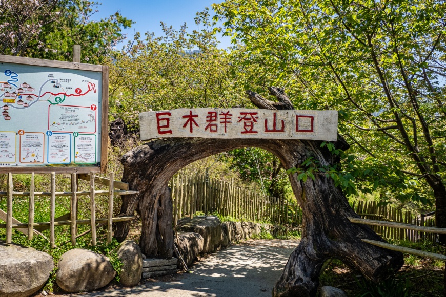司馬庫斯神木群登山口。(圖片來源：翰思輕旅攝提供)