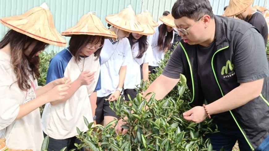 天芳茶行結合三峽當地文史背景,提供採茶、製茶到品茗的深度茶鄉文化體驗。(圖片來源:新北市政府農業局)