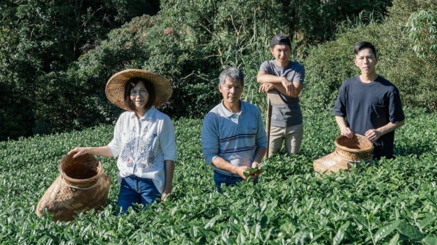 白青長茶作坊現由製茶第5代的青農兄弟檔白俊育(右2)、白順楊(右1)共同經營。(圖片來源:新北市政府農業局)