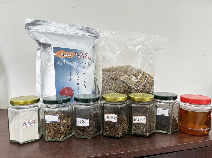 黑水虻結合AI轉化廚餘為資源 羽田打造永續經濟