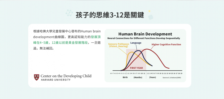 哈佛大學研究孩子認知能力的發展期是4-5歲,12歲以前更是黃金期。圖/VIPTHINK提供。