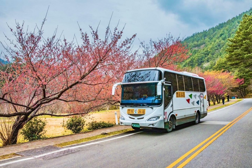 ▲豐原客運將在「梨山賓館前觀景台」出發,每人限購6張,民眾可透過「臺北轉運站APP」進行預購。萬達通實業/提供