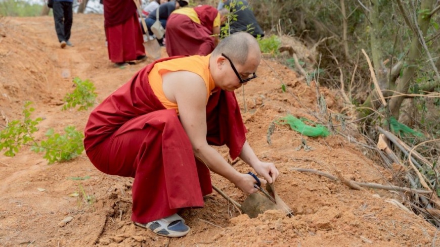 圖說：臺灣桑耶寺響應為地球種下一棵樹，配合當地環境，種植耐風樹種光蠟樹和九芎。（圖片來源：新北市政府農業局）