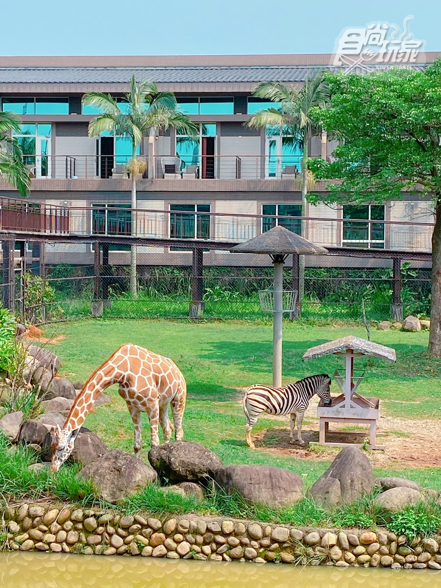 位於新竹的「關西六福莊生態度假旅館」是全台唯一的動物體驗飯店。(圖/食尚玩家)