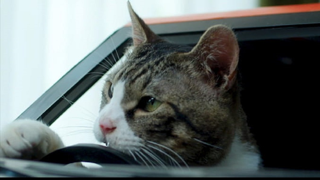試駕員架式十足的開著Nyasan Dayz。(圖片來源/ Nissan)
