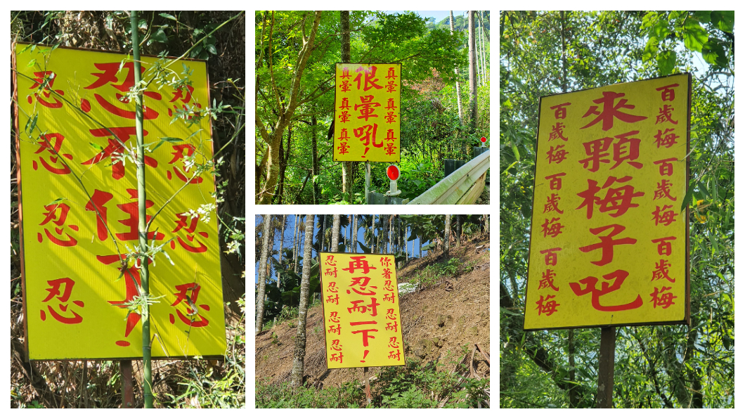 山路驚見神秘告示牌 網驚:驅鬼用的嗎?
