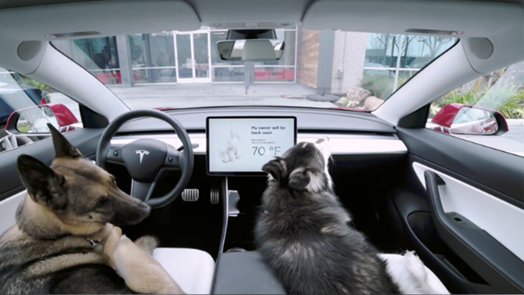 Tesla的寵物模式可以保持車室內空調作動,並且在電量不足時發訊警示車主。(圖片來源/ Tesla )