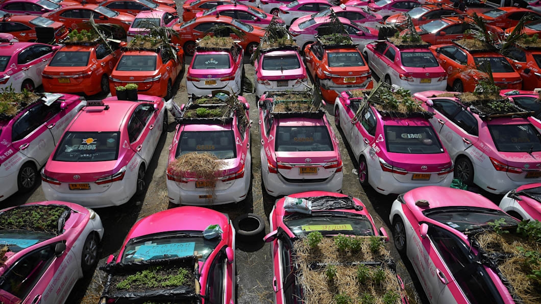 疫情衝擊計程車大量閒置怎麼辦? 泰車行:拿來種菜啊!