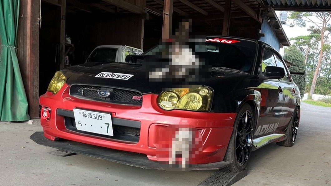 速霸陸Impreza WRX遭喵星人攻佔 硬皮鯊瞬間淪為「貓鯊」