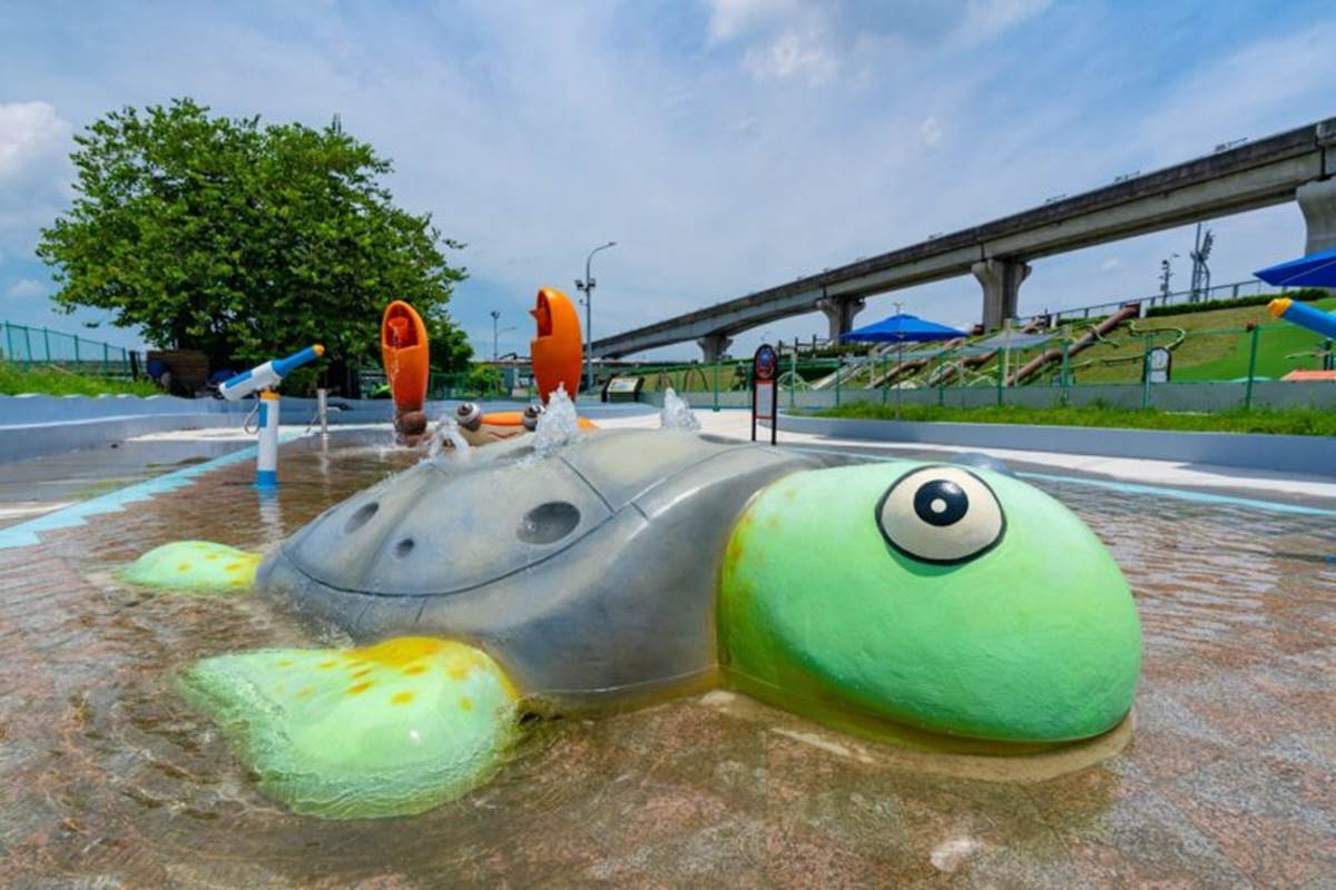 海龜身上灑水時會比較溼滑,須注意不要往它身上爬。(圖/新北市高灘處提供)