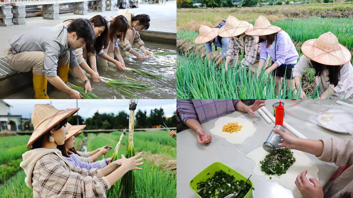 於「農夫青蔥體驗農場」可以體驗下田拔三星蔥。(圖/卡夫卡愛旅行提供)