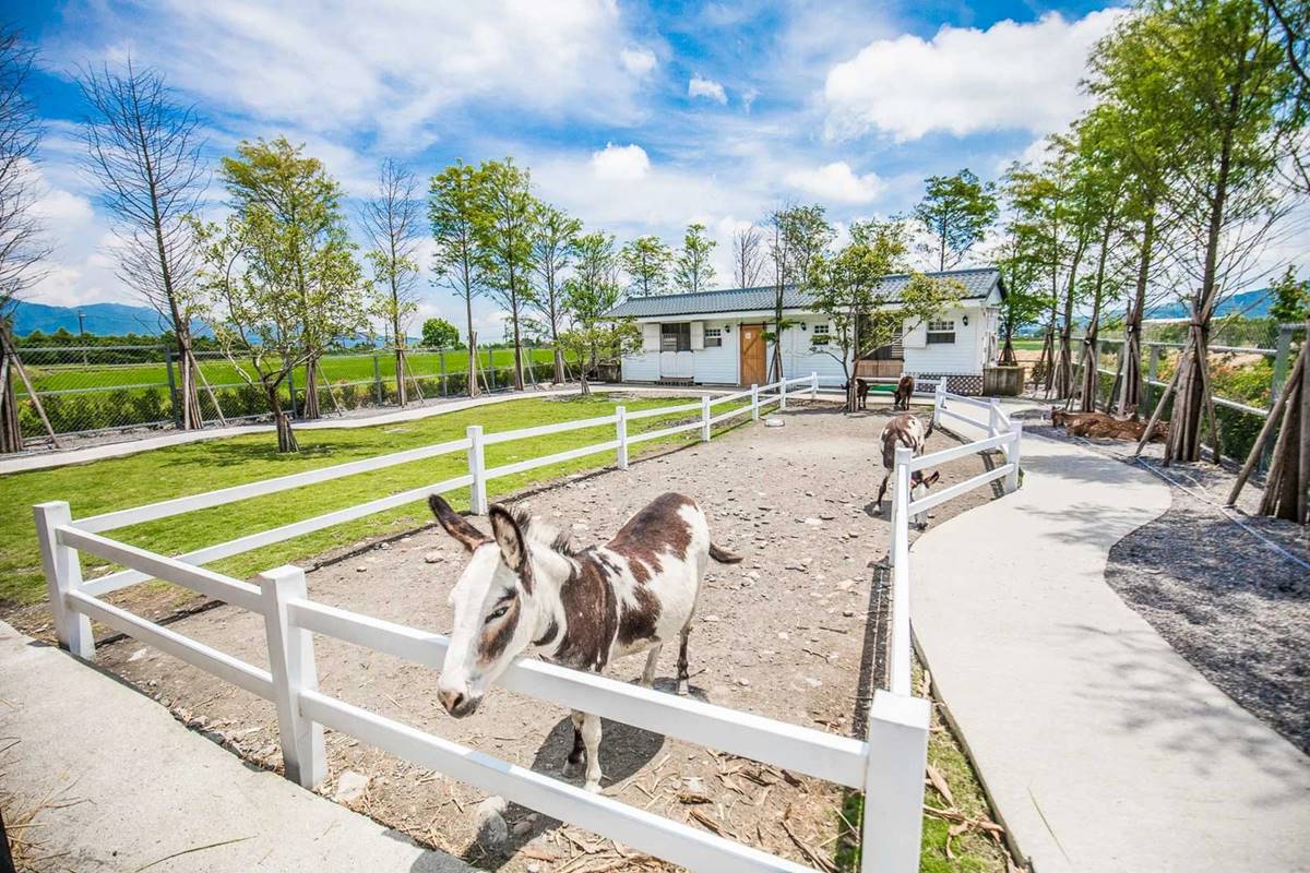 「星寶鄉間小路」動物體驗園區,疫情期間進行人員分流。(圖/大手牽小手玩樂趣提供)