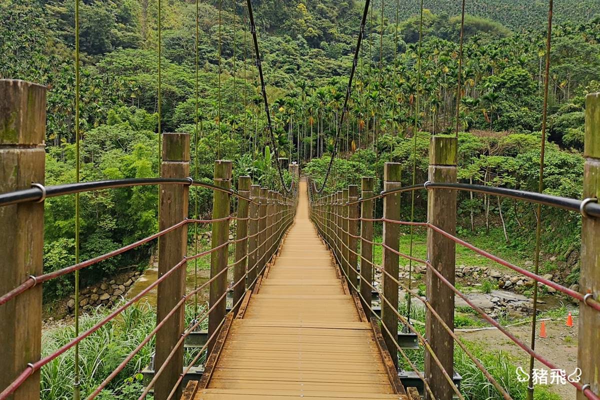 華山休閒農業區的情人橋，宛如置身東南亞叢林。（圖／豬飛小姐的彩色生活提供）