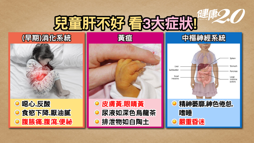 兒童肝不好，看3大症狀。（圖／健康2.0）