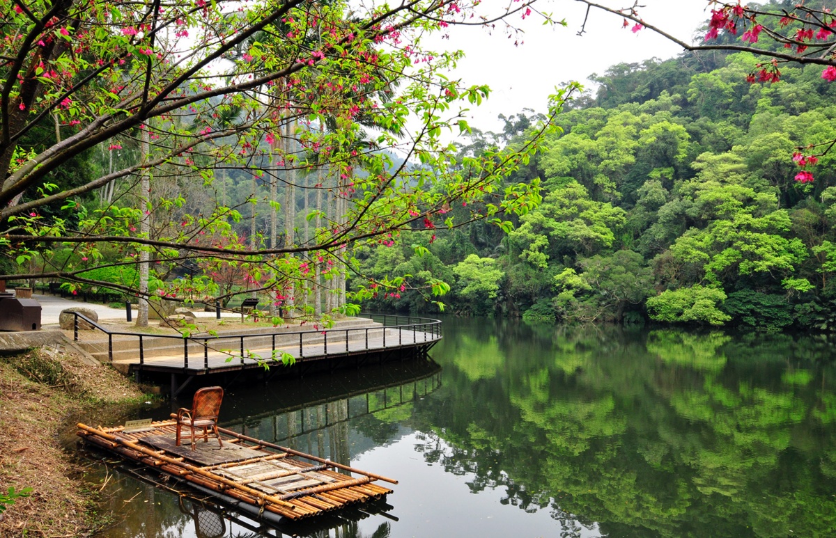 凡前往後慈湖及小烏來風景特定區，皆可以優惠票價入園，圖為後慈湖。（圖／桃園市政府）