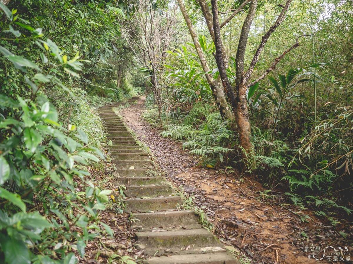 「糶米古道」是由石階、泥階及泥道構成。(圖/是艾思,不是火拳提供)