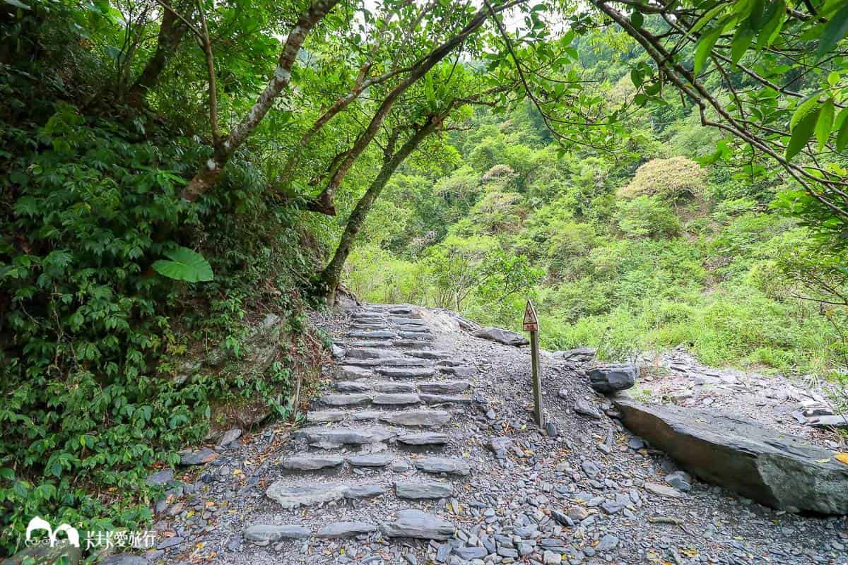 「新寮瀑布步道」一開始是平緩石子路，中段開始會有石階路，但也很好走。（圖／卡夫卡愛旅行）