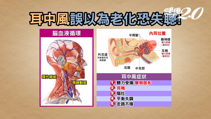 耳中風誤以為老化恐失聰。（圖／健康2.0）