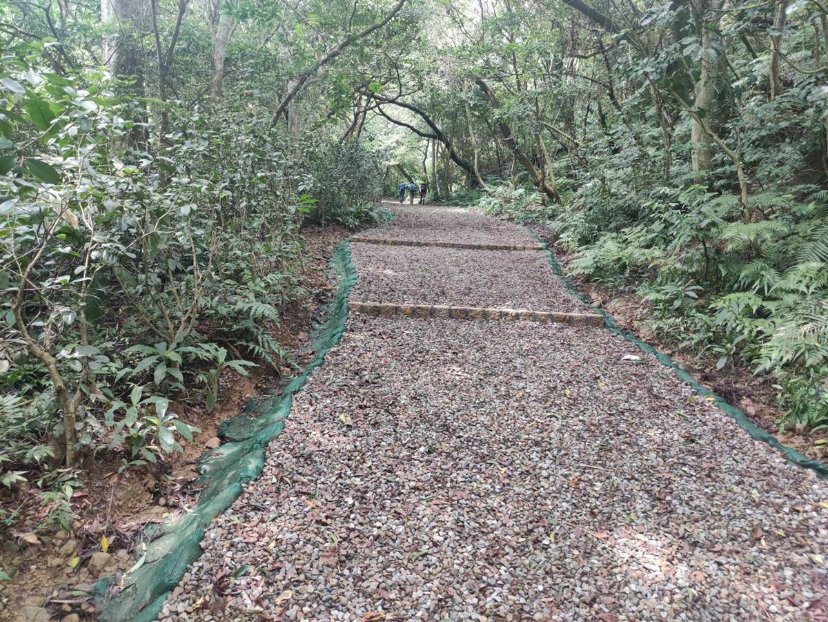 步道結合水土保持工法,將雨水導流至山溝。(圖/翻攝自桃園觀光導覽網)