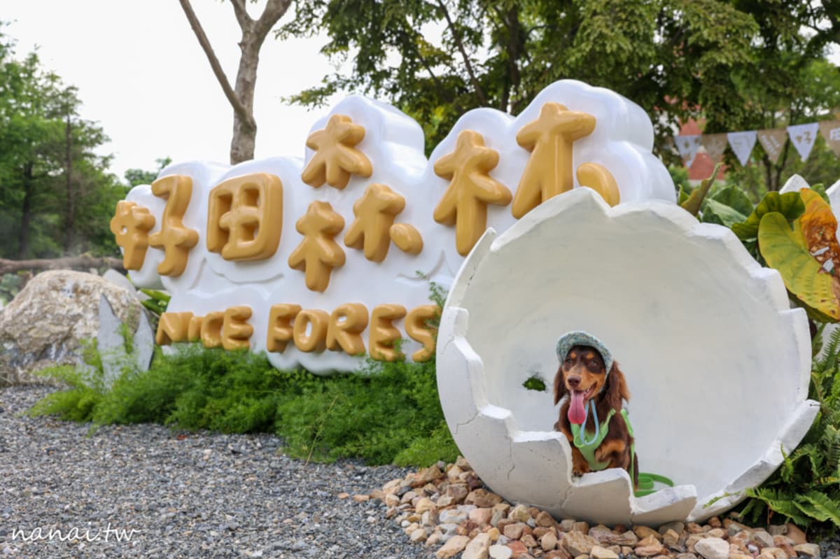 「好田森林」園區入口有設置巨大恐龍蛋造景,讓遊客互動打卡拍照。(圖/Nana愛旅行札記提供)