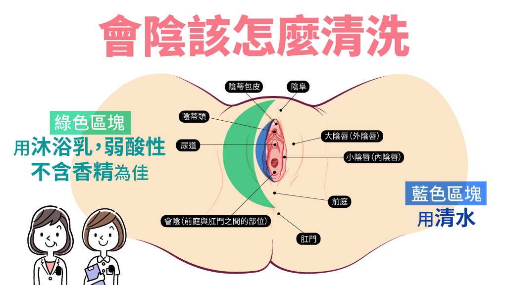 女生的會陰，圖中藍色區塊部分用清水洗最好。（圖／謝筱芸醫師提供、蔣蕓瞳轉繪）