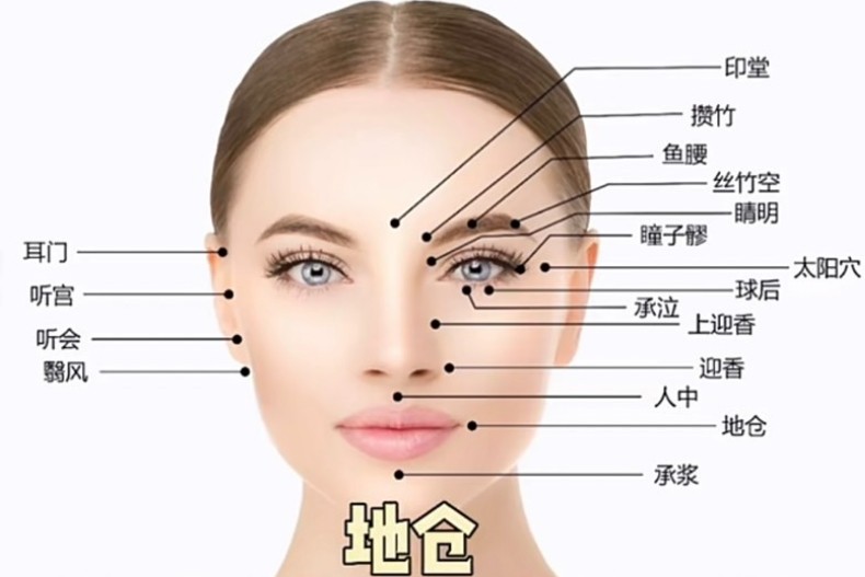 臉部有許多穴道。（圖／翻攝自浪浪Dinah小紅書）