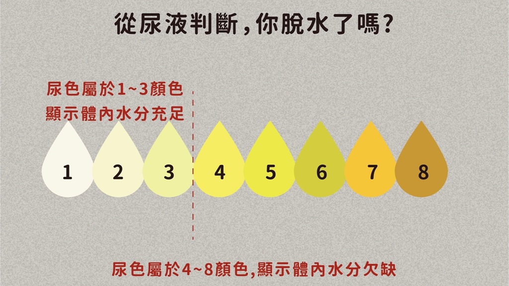 從尿液顏色可得知人體是否缺水。(圖/翻攝自酈月慧營養師臉書)