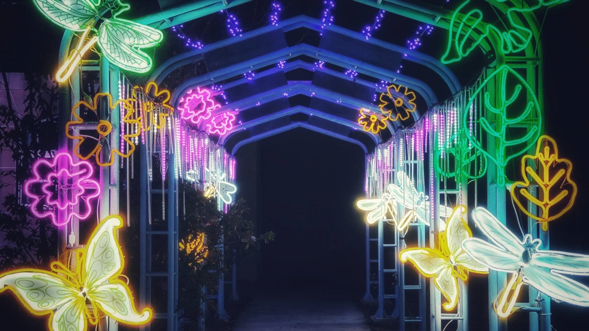 「谷關遊客中心」打造星光隧道。(圖/參山處提供)