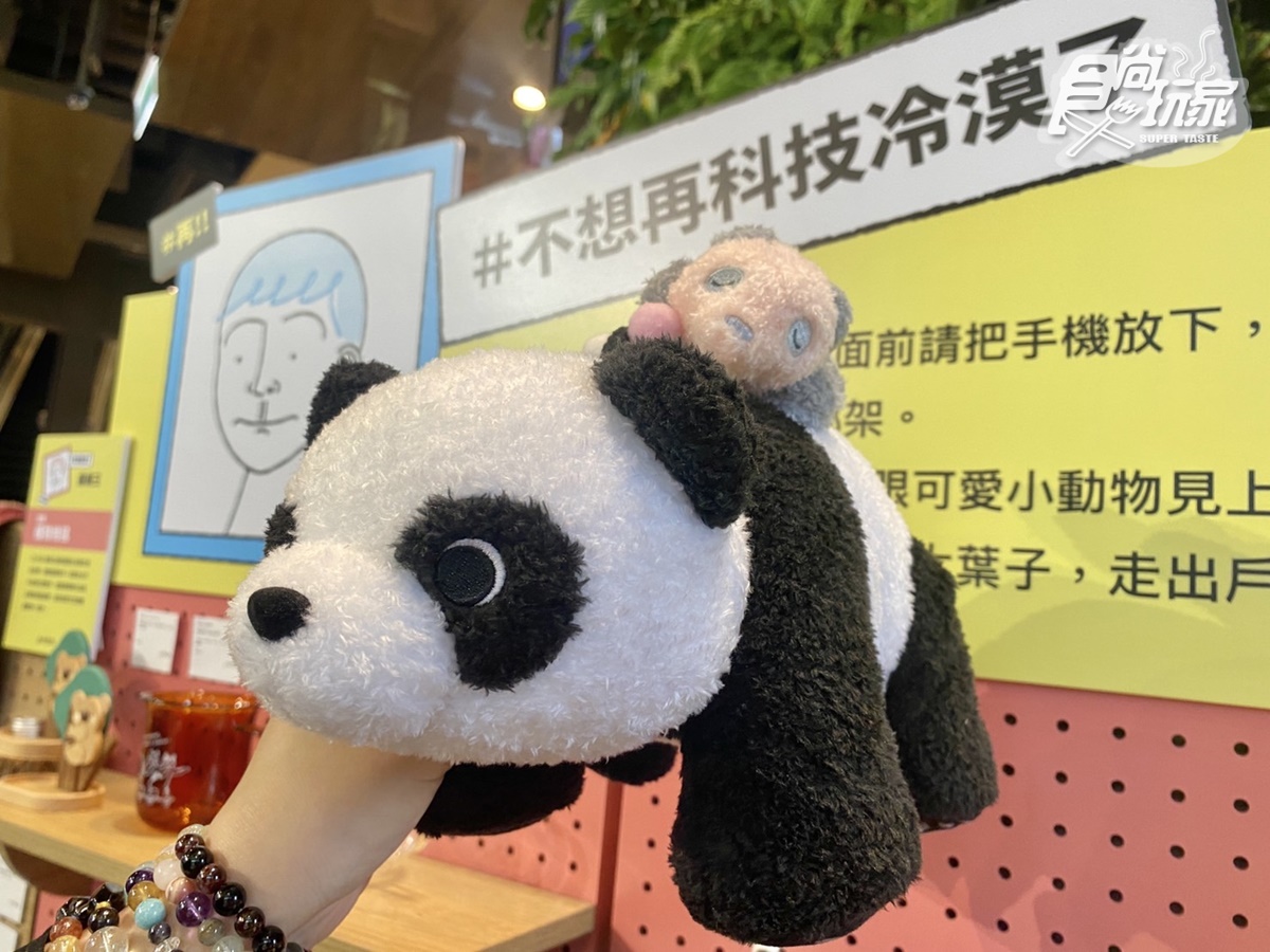大熊貓母女團圓包,不用出門也療癒。(圖/陳倍玉攝)