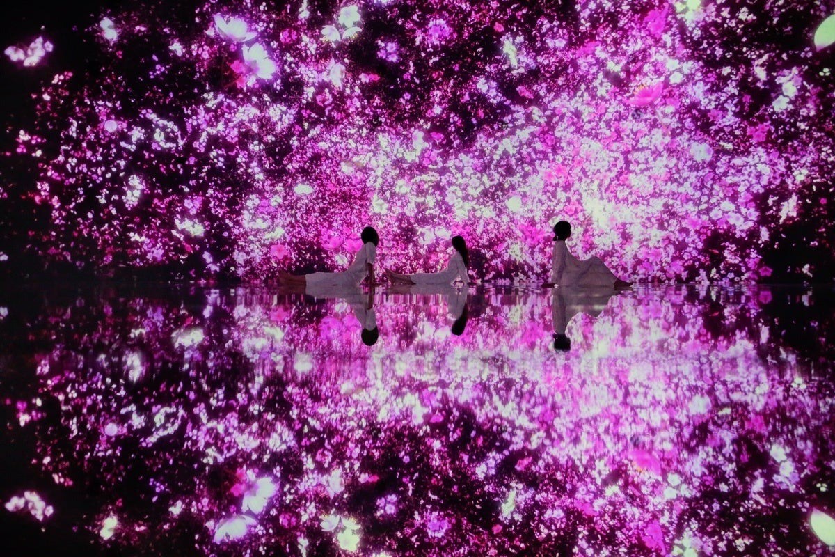 team Lab Planets在3月推出最新櫻花主題展。(圖/©teamLab提供)