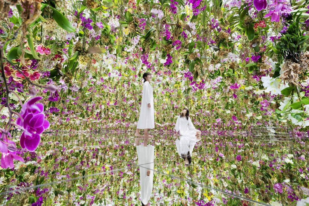 team Lab Planets館內結合花朵的沉浸藝術作品。(圖/©teamLab提供)