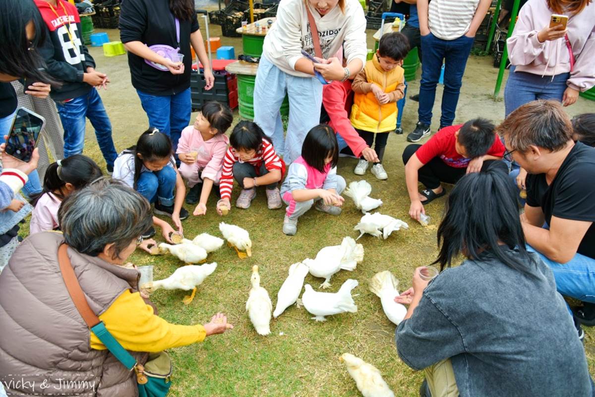 農場動物餵食秀一天會有3次。(圖/薇琪&吉米の生活小札記 提供)