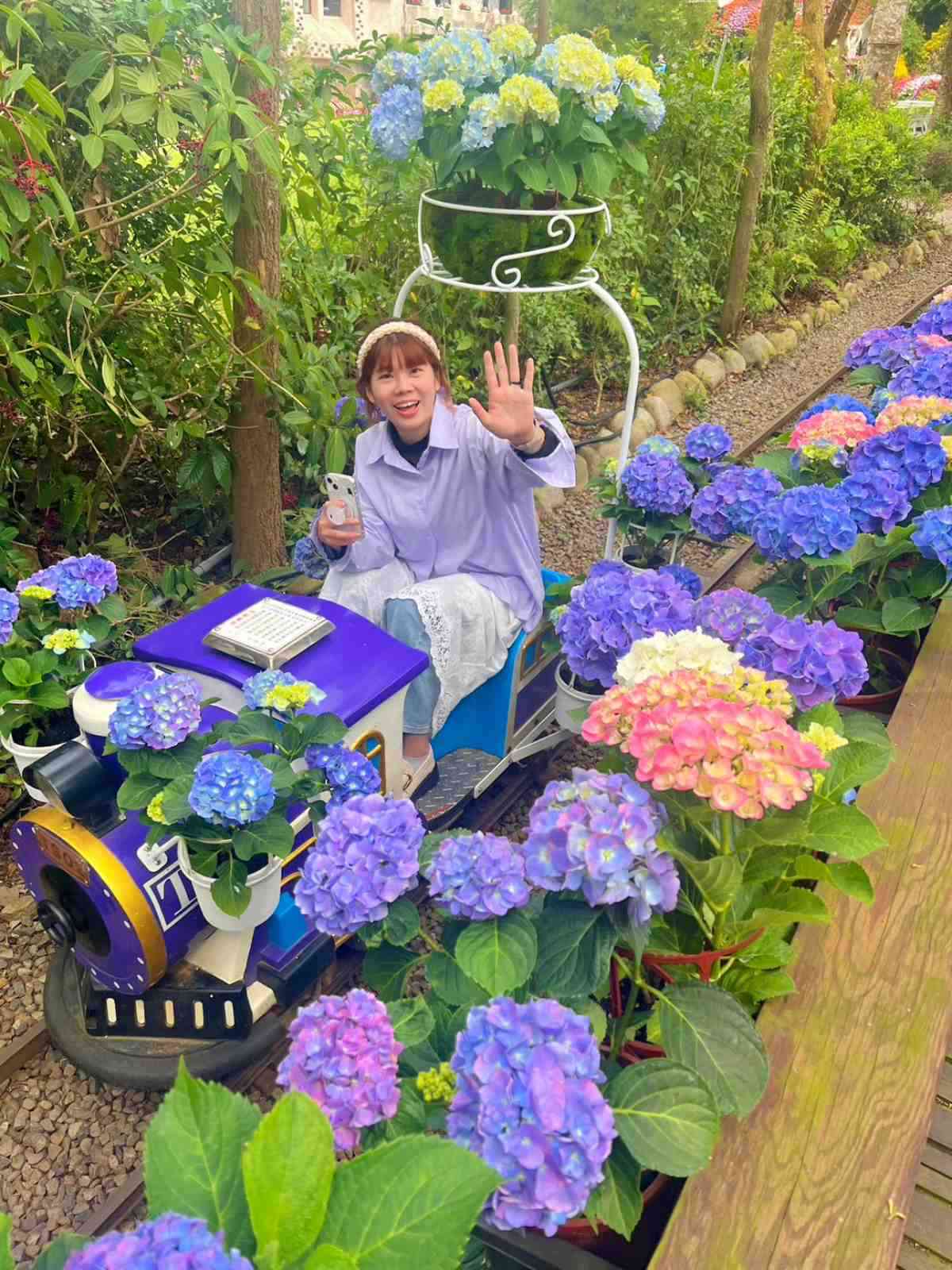 農場特別將小火車路線與車身,布置了滿滿的繡球花。(圖/花露農場提供)